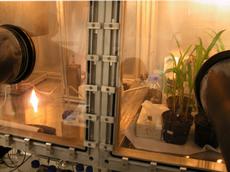 Mit den in der linken Box per Flammspraysynthese erzeugten Nanopartikeln haben die ETH-Forscher rund 50 Maispflanzen je 20 Minuten lang besprüht. (Bild: ETH Zürich)
