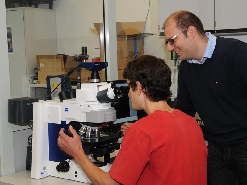 Georgios Sotiriou zeigt in seinem Labor einem seiner Studenten die präparierten Partikel unter dem Mikroskop. (Bild: Simone Ulmer / ETH Zürich)