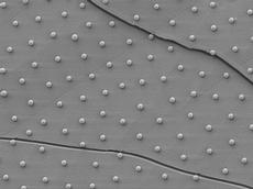 Nanopartikel auf einer Wasser-Öl-Grenzfläche unter dem Kryo-Rasterelektronenmikroskop. Zur Messung des Kontaktwinkels wurde die Probe aufgebrochen und mit Schwermetallen bedampft. (Bild: Lucio Isa / EMEZ/ ETH Zürich)