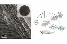 The final hybrid nanocomposite paper made of protein fibrils and graphene after vacuum filtration drying. The schematic route used by the researchers to combine graphene and protein fibrils into the new hybrid nanocomposite paper. (Reproduced from Li et al. Nature Nanotechnology 2012)